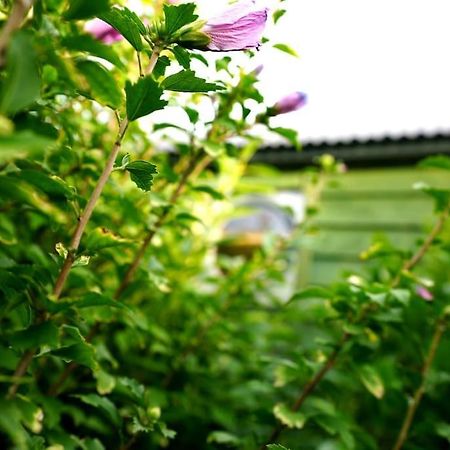 Romantic Retreat - Luxury Shepherds Hut + Hot Tub! Camborne Eksteriør bilde